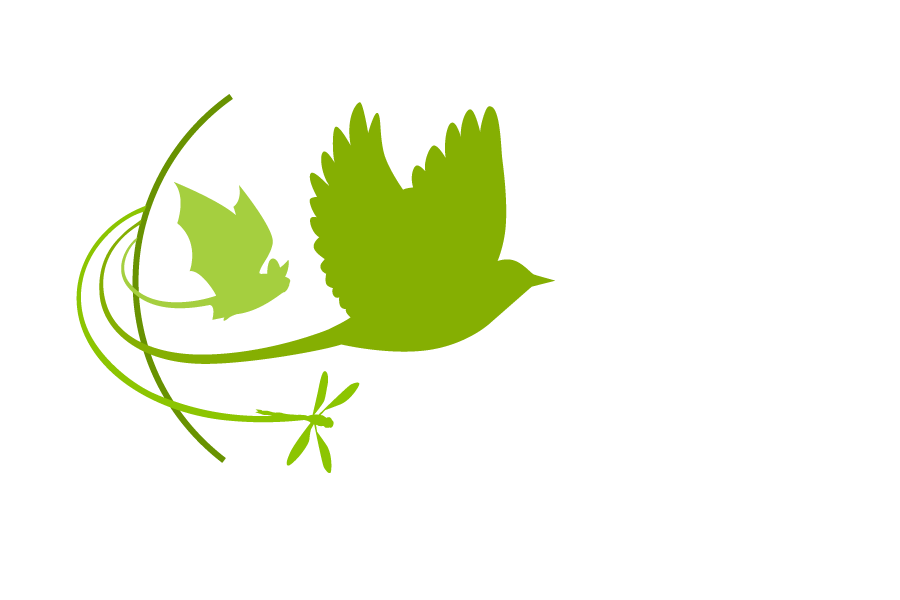 Motus on the Move