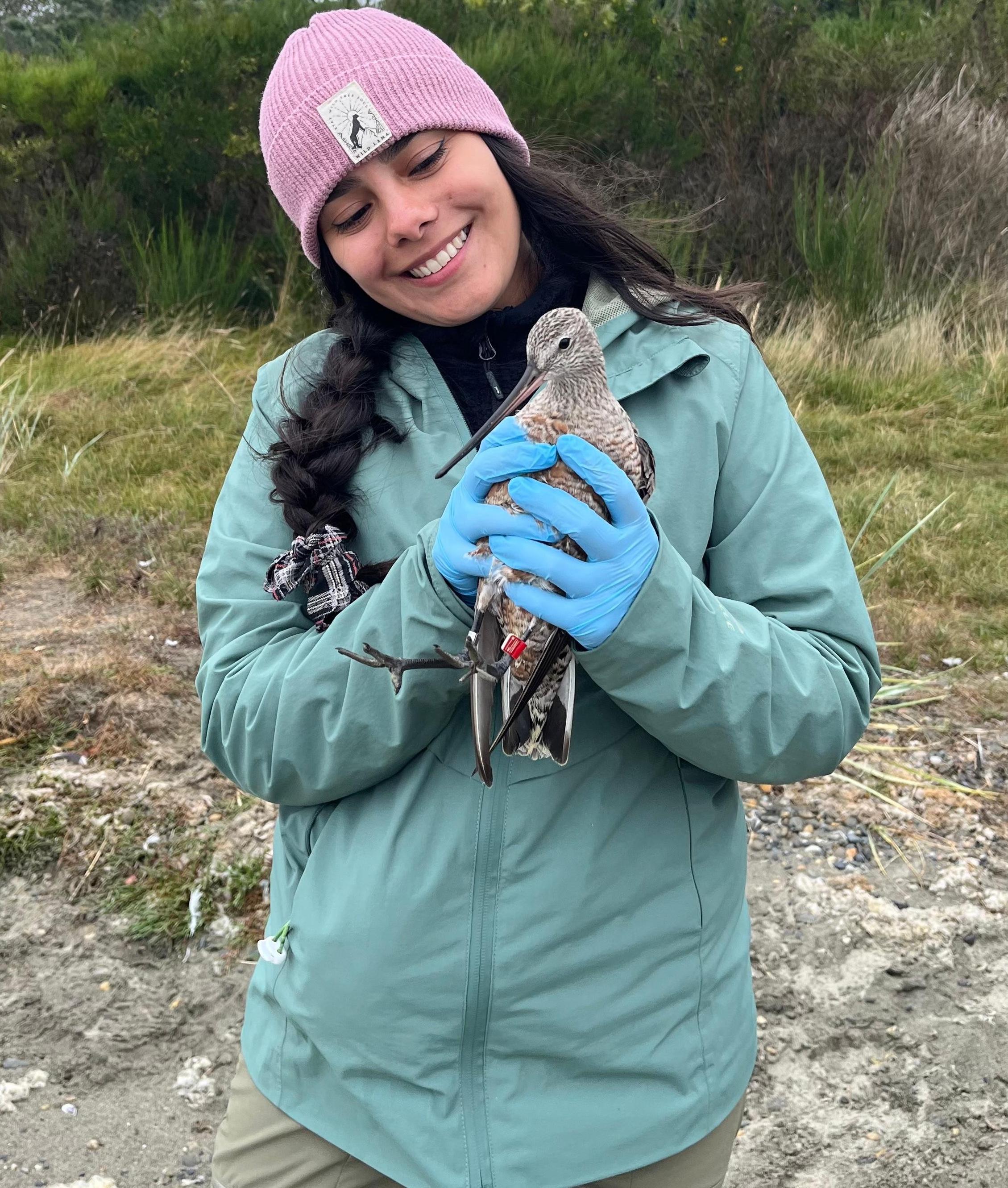 Javiera Robledo Sagredo