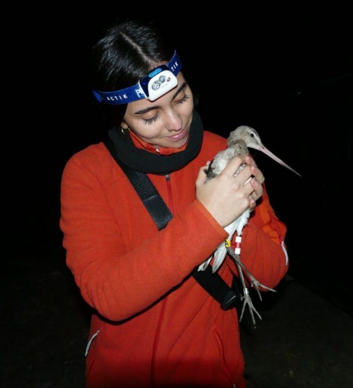 María Fernanda Sánchez-Méndez