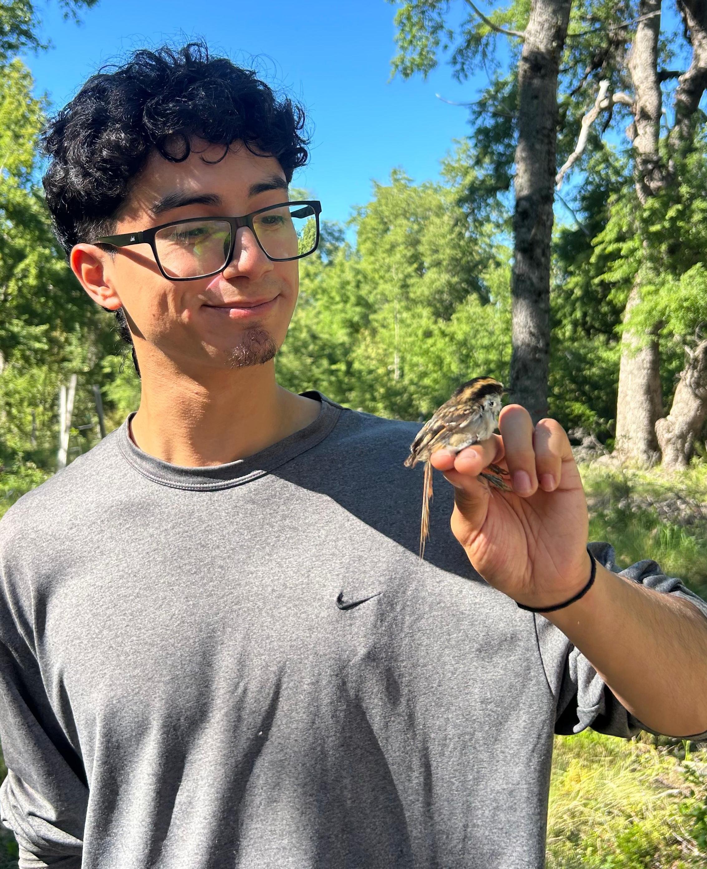 Nicolás Pérez Navarrete